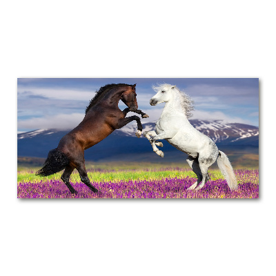 Tableau sur verre Combat de chevaux en montagne