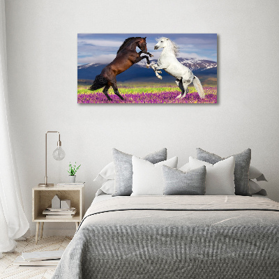 Tableau sur verre Combat de chevaux en montagne