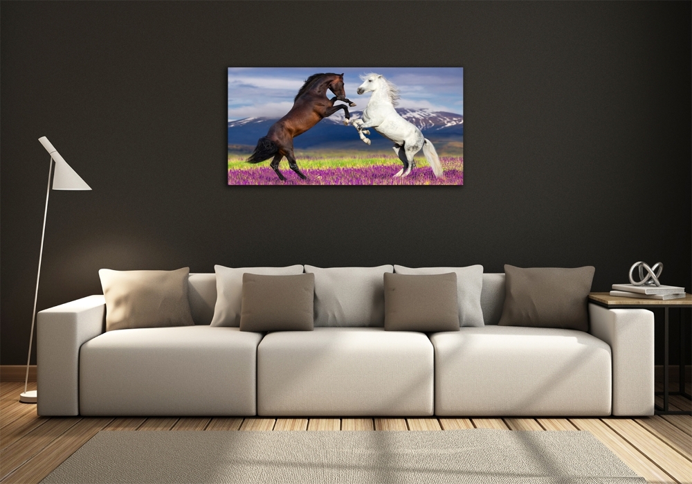 Tableau sur verre Combat de chevaux en montagne