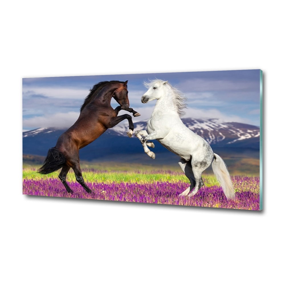 Tableau sur verre Combat de chevaux en montagne