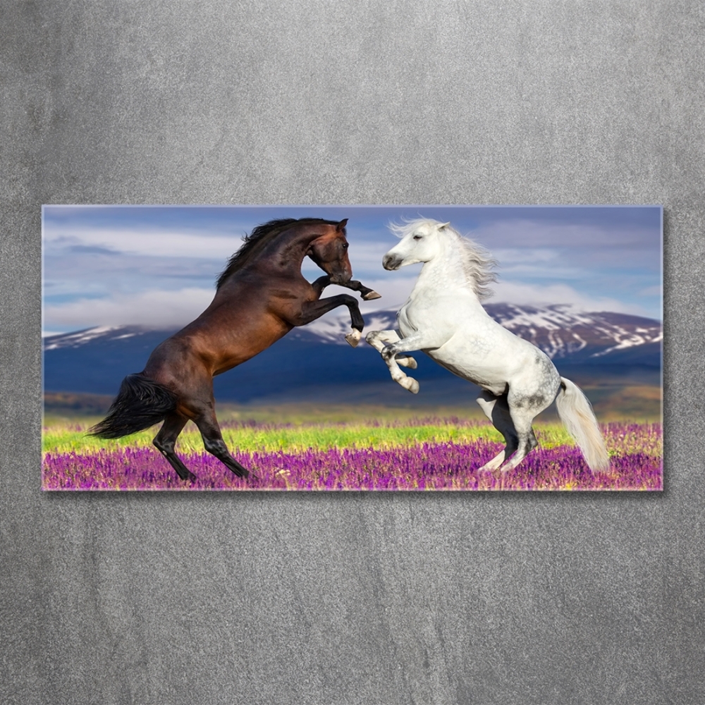 Tableau sur verre Combat de chevaux en montagne