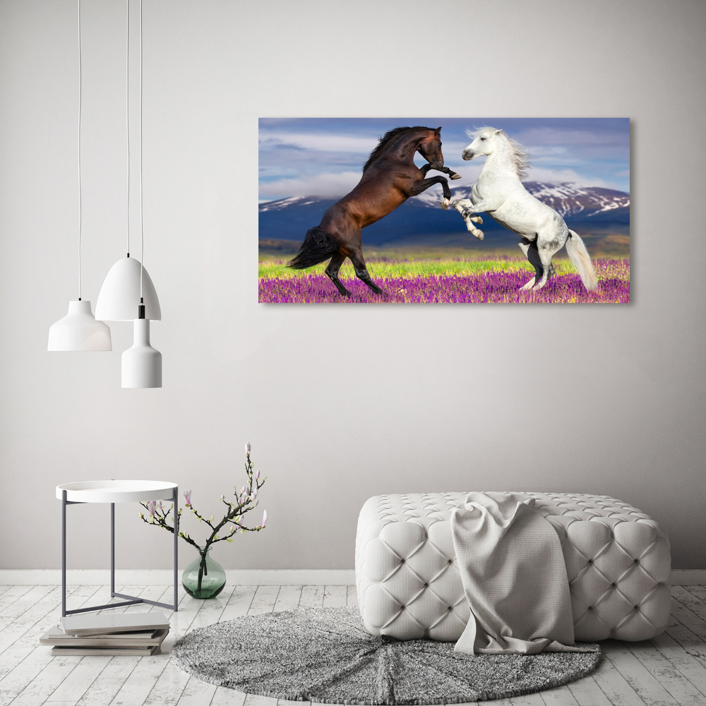 Tableau sur verre Combat de chevaux en montagne