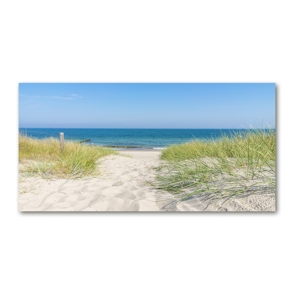 Tableau en verre Dunes côtières