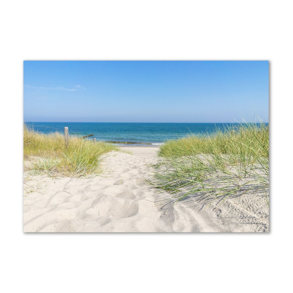 Tableau en verre Dunes côtières