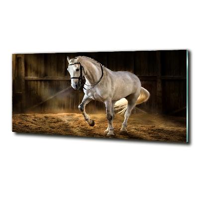 Tableau imprimé sur verre Cheval blanc à l'écurie