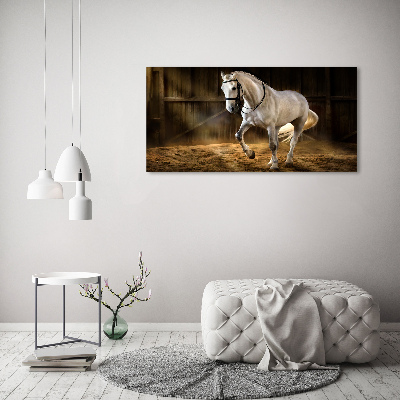 Tableau imprimé sur verre Cheval blanc à l'écurie