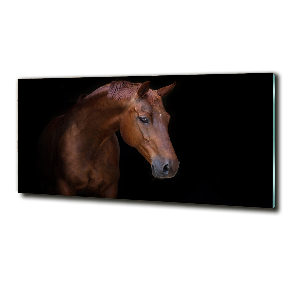 Tableau sur verre Cheval brun