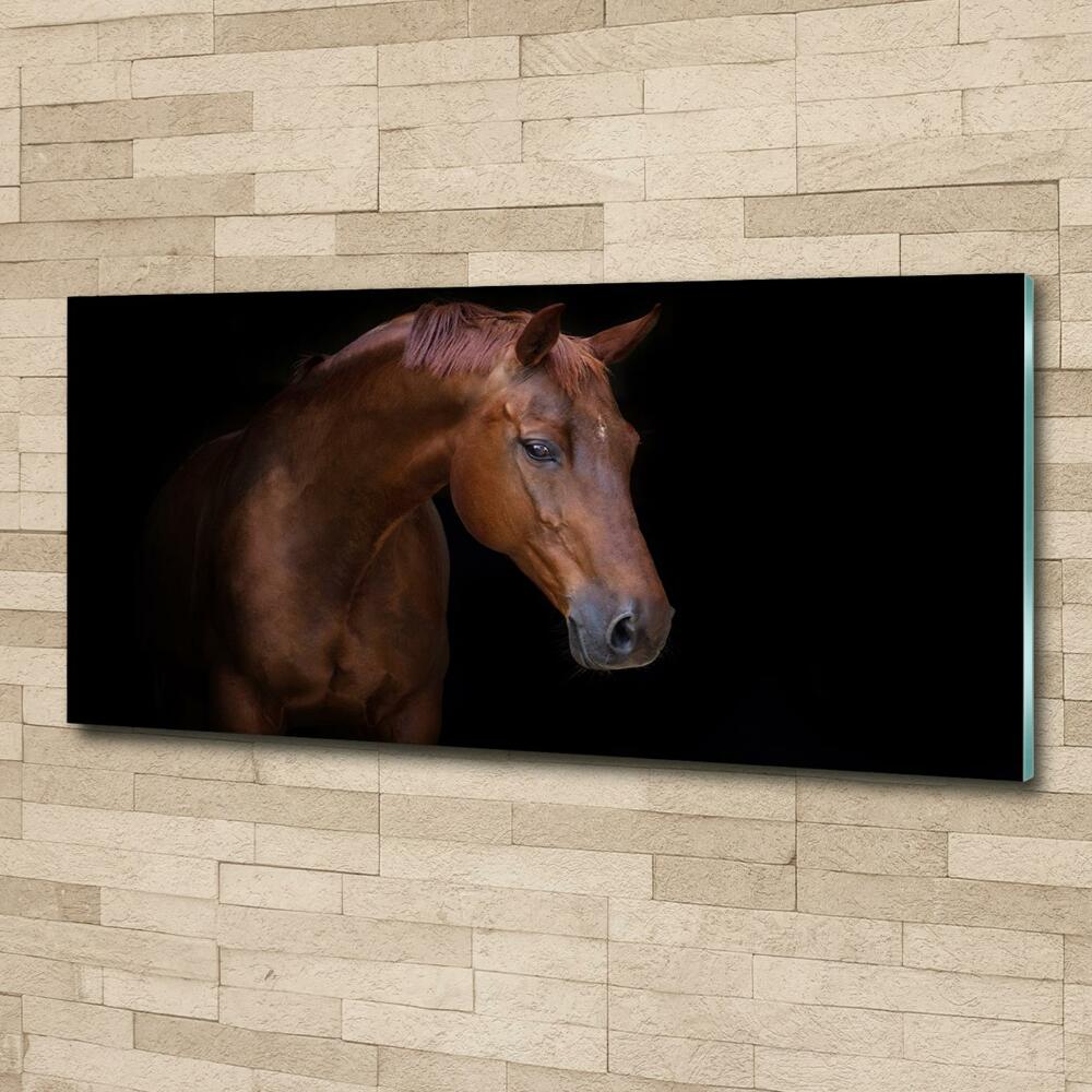 Tableau sur verre Cheval brun