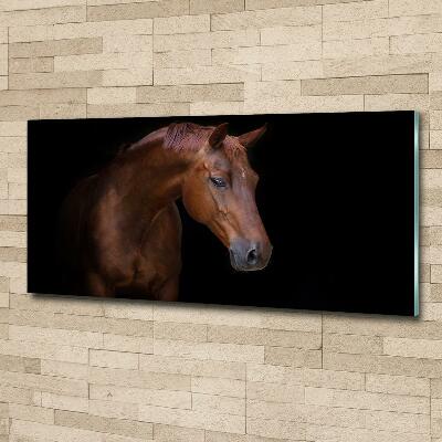 Tableau sur verre Cheval brun