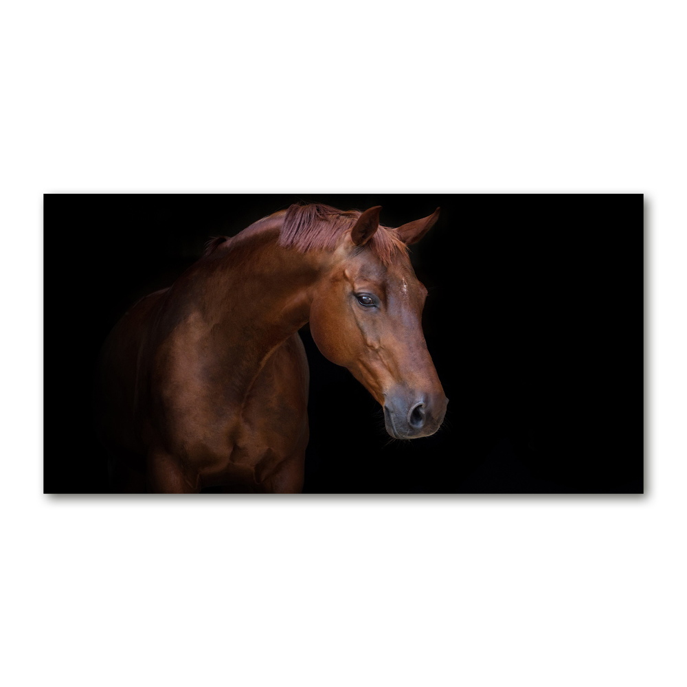 Tableau sur verre Cheval brun