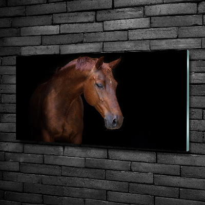 Tableau sur verre Cheval brun