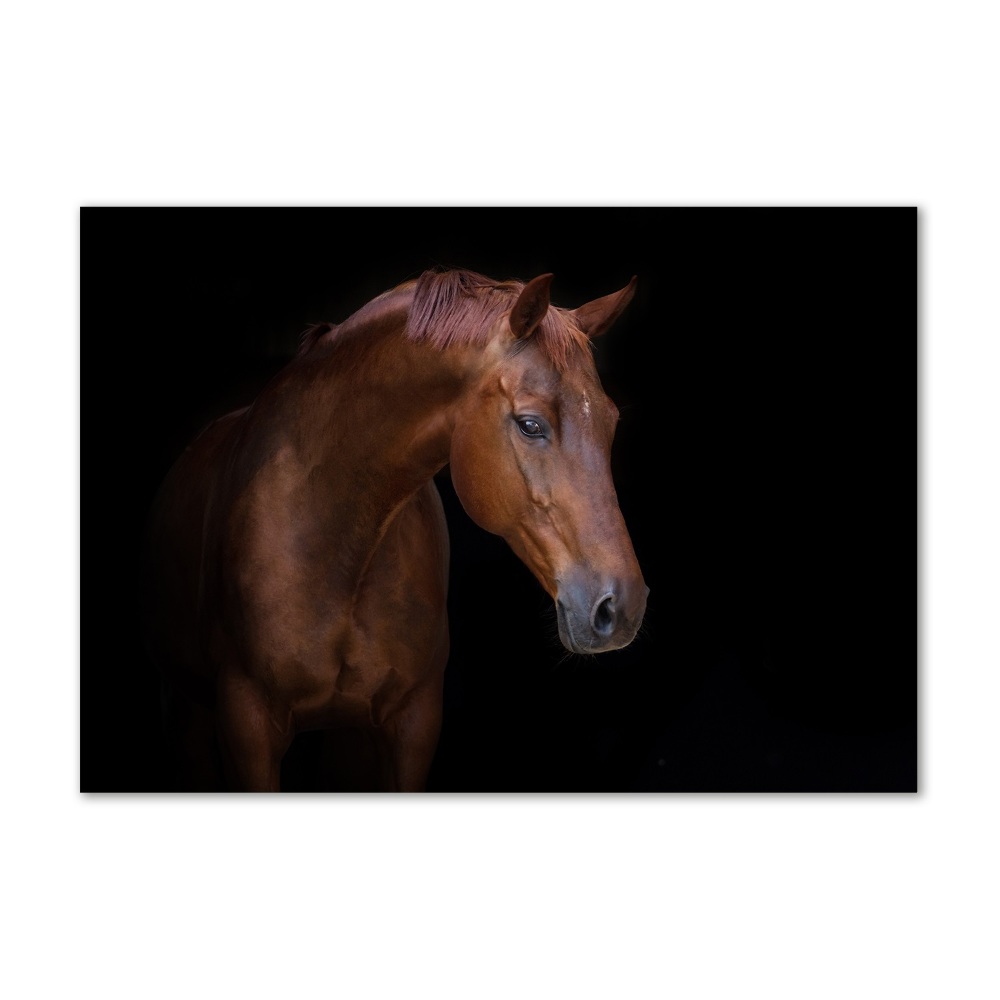 Tableau sur verre Cheval brun