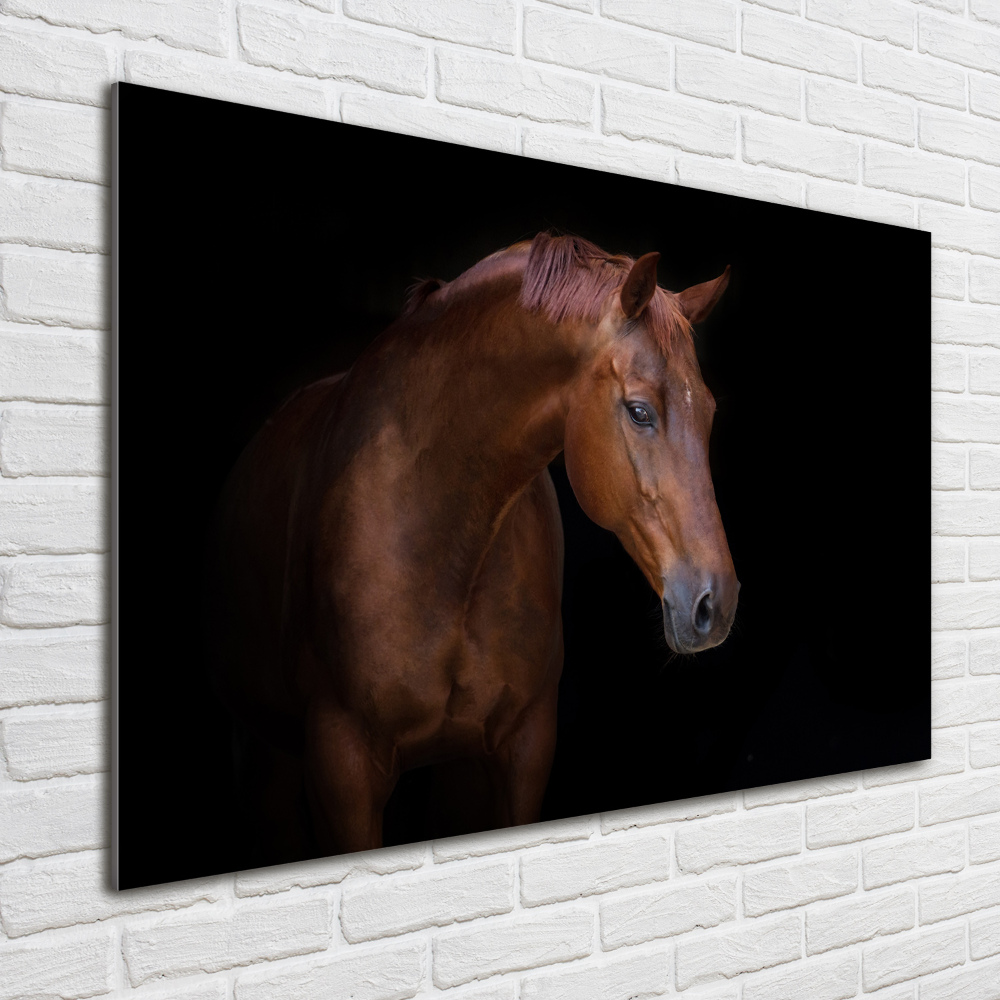 Tableau sur verre Cheval brun