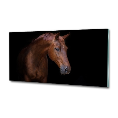 Tableau sur verre Cheval brun