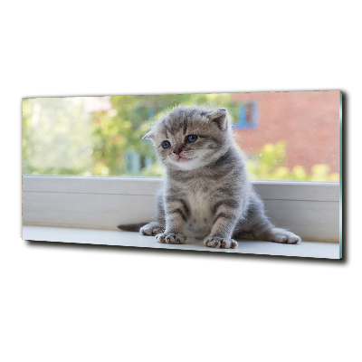 Tableau sur verre Petit chat à la fenêtre