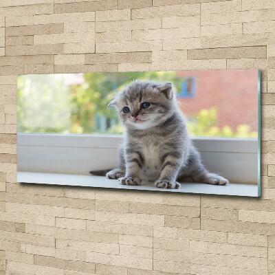 Tableau sur verre Petit chat à la fenêtre