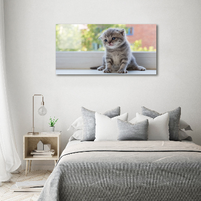 Tableau sur verre Petit chat à la fenêtre