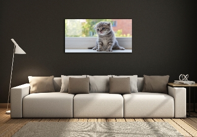 Tableau sur verre Petit chat à la fenêtre