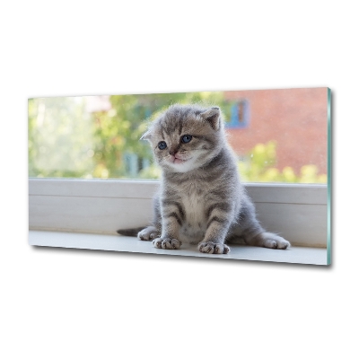 Tableau sur verre Petit chat à la fenêtre