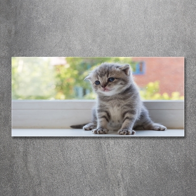 Tableau sur verre Petit chat à la fenêtre