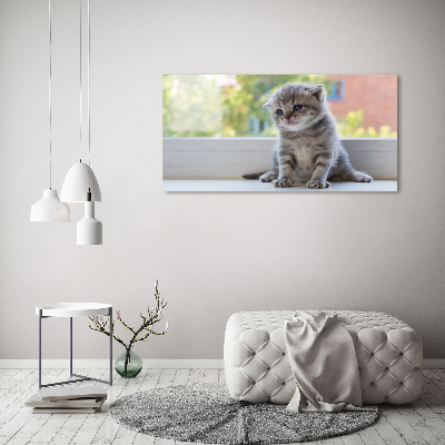 Tableau sur verre Petit chat à la fenêtre