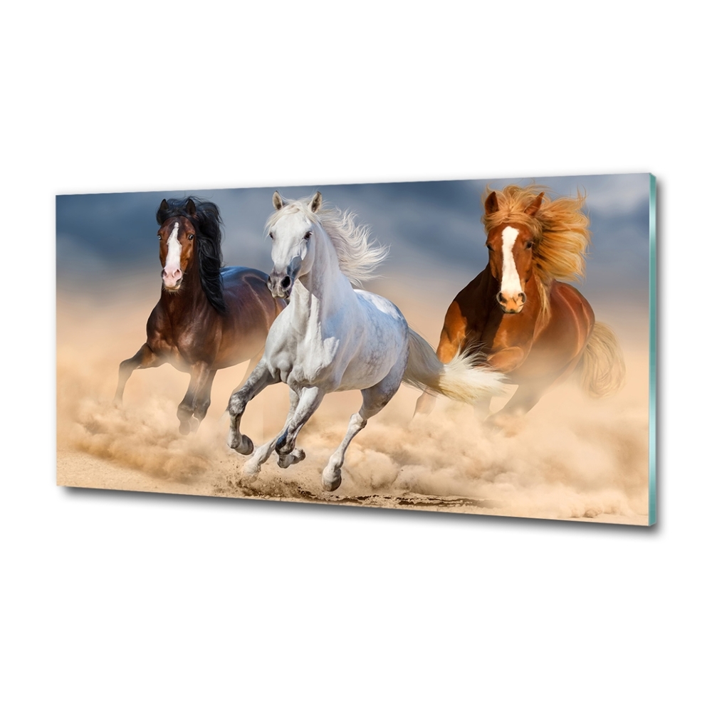 Tableau photo sur verre Chevaux dans le désert