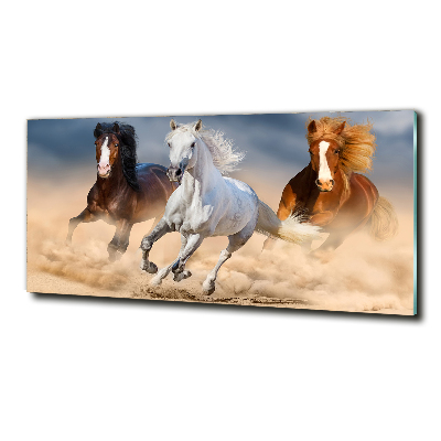 Tableau photo sur verre Chevaux dans le désert