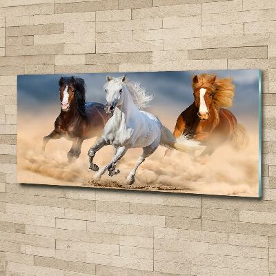 Tableau photo sur verre Chevaux dans le désert