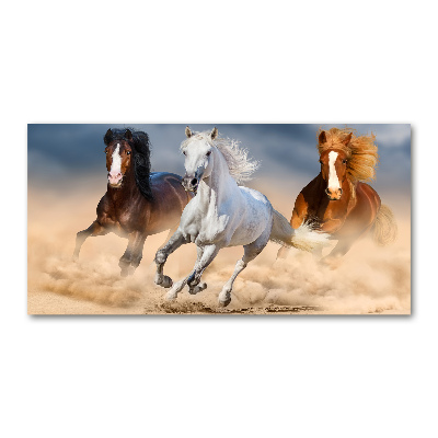 Tableau photo sur verre Chevaux dans le désert