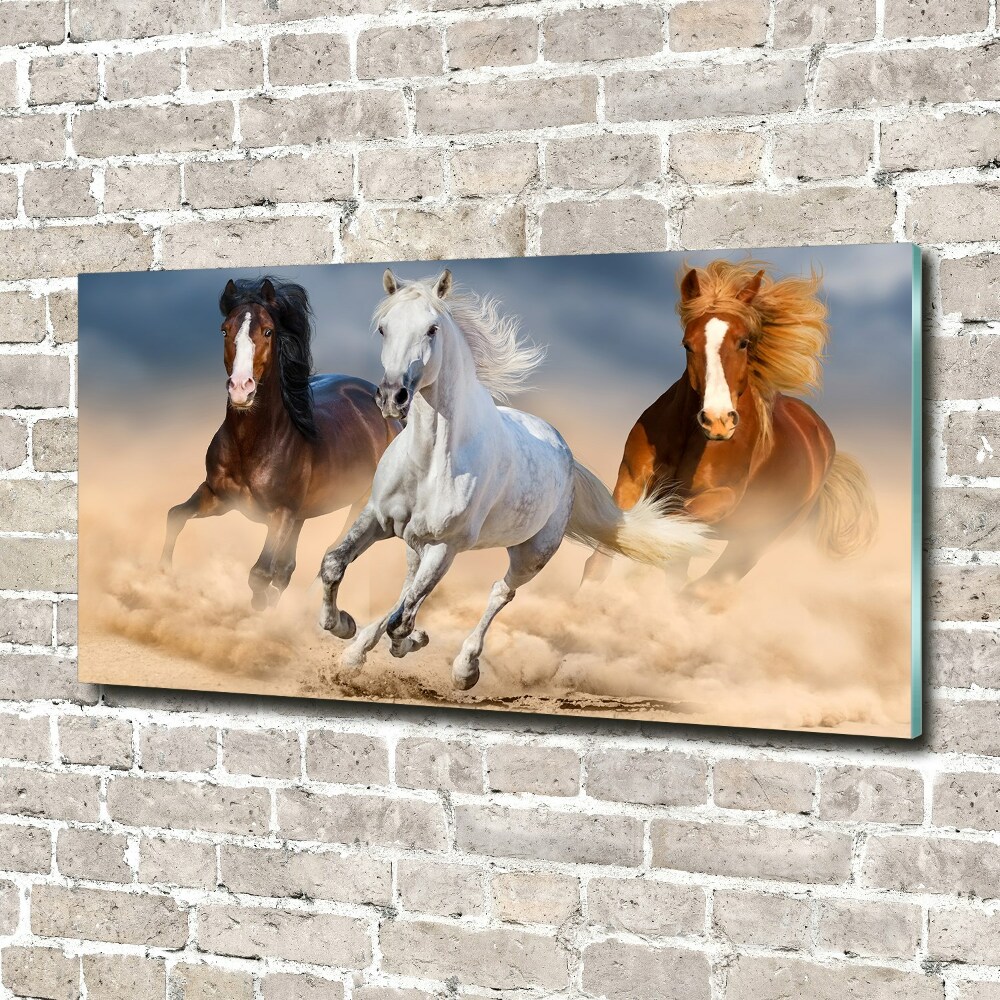 Tableau photo sur verre Chevaux dans le désert