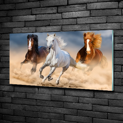 Tableau photo sur verre Chevaux dans le désert