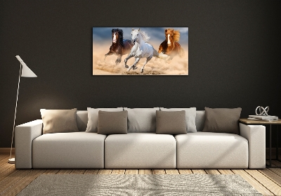 Tableau photo sur verre Chevaux dans le désert