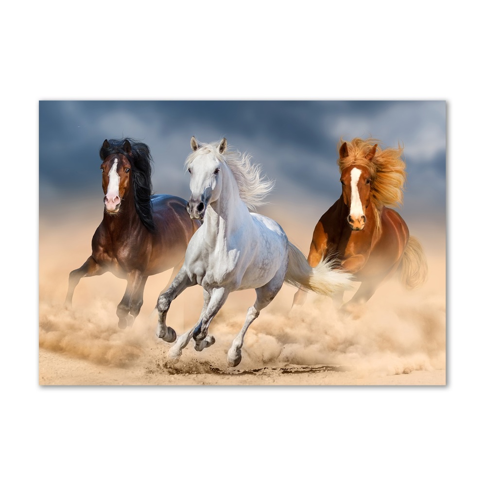 Tableau photo sur verre Chevaux dans le désert