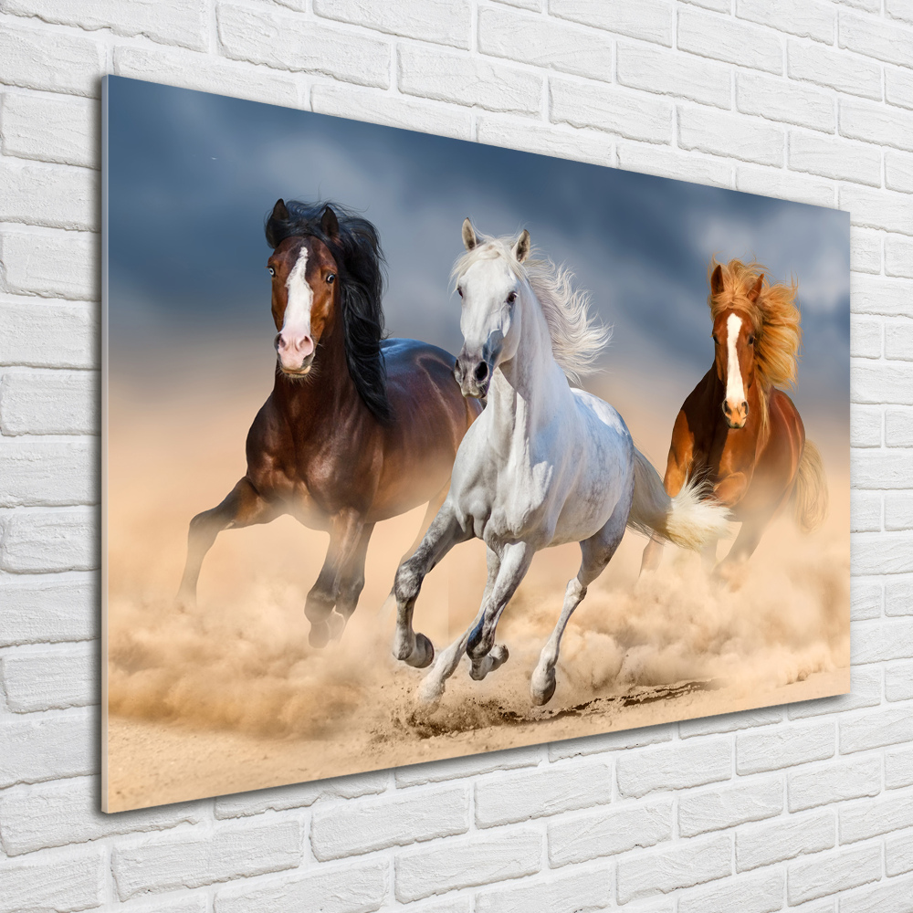 Tableau photo sur verre Chevaux dans le désert