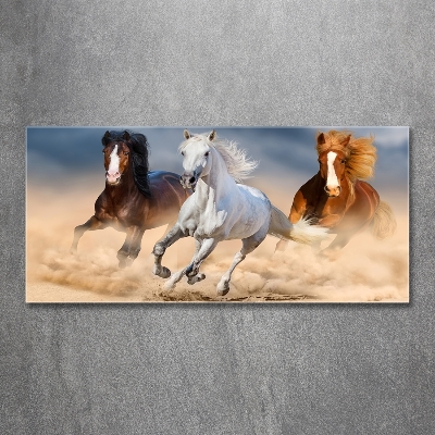 Tableau photo sur verre Chevaux dans le désert