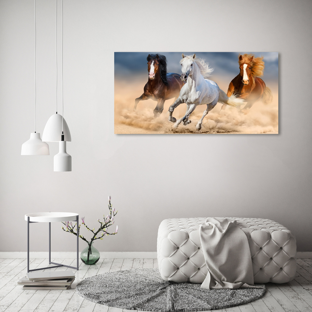 Tableau photo sur verre Chevaux dans le désert