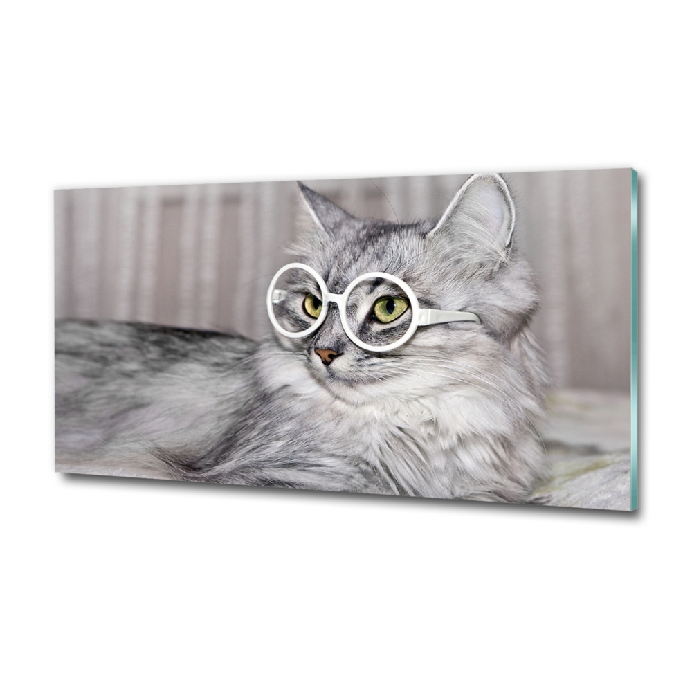 Tableau en verre Chat en lunettes