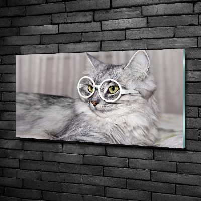 Tableau en verre Chat en lunettes