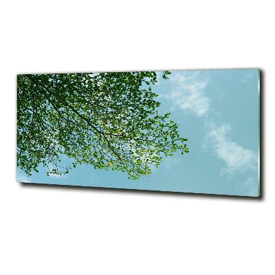 Tableau verre imprimé Feuilles dans le ciel