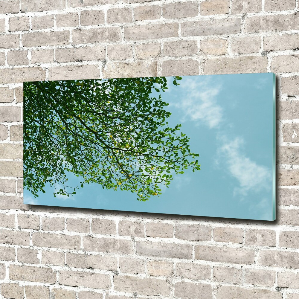 Tableau verre imprimé Feuilles dans le ciel