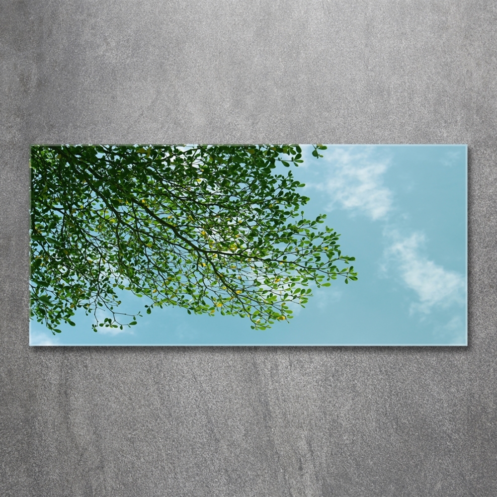 Tableau verre imprimé Feuilles dans le ciel