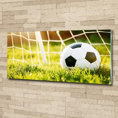 Tableau en verre Football dans les portes