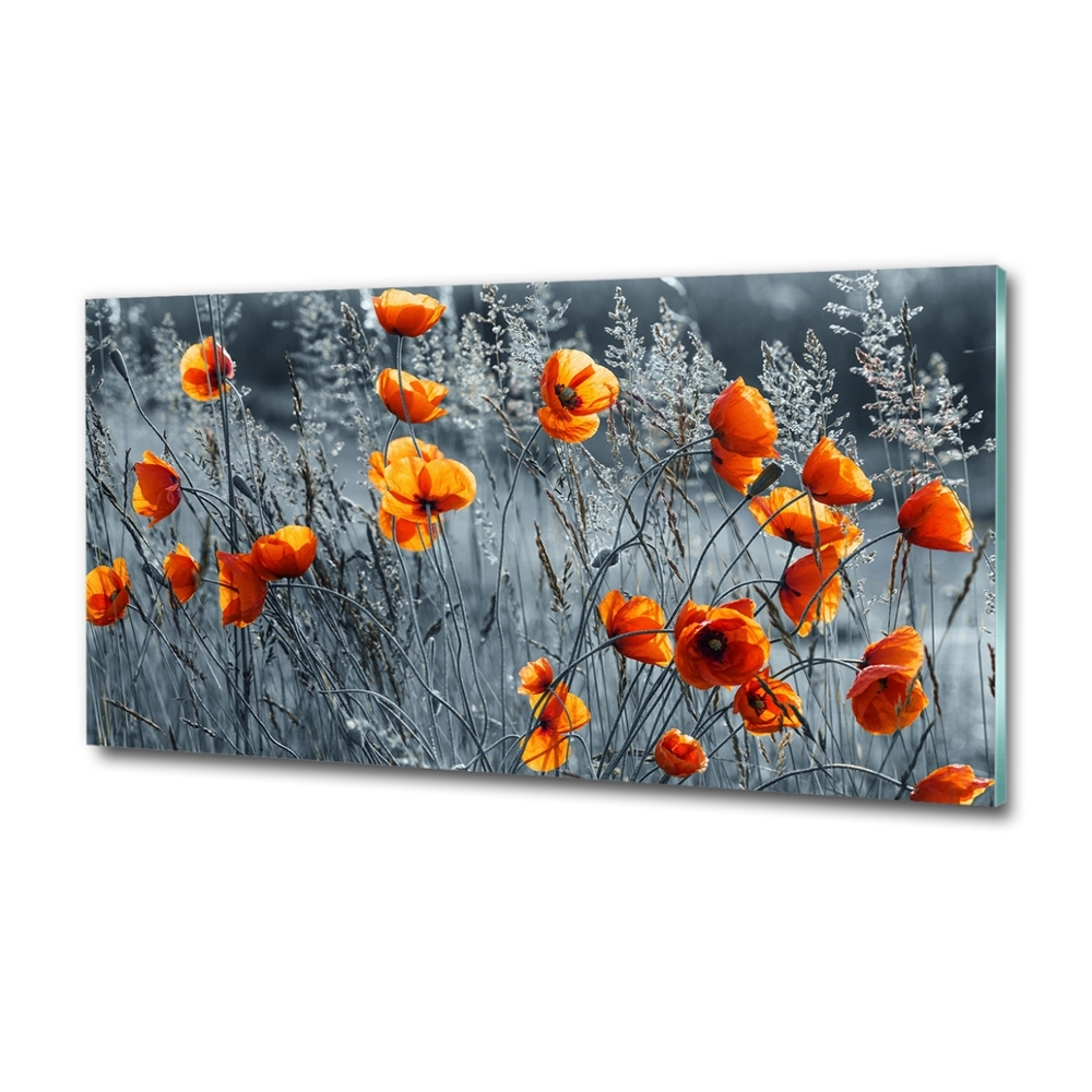 Tableau imprimé sur verre Coquelicot des champs