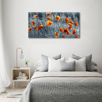 Tableau imprimé sur verre Coquelicot des champs