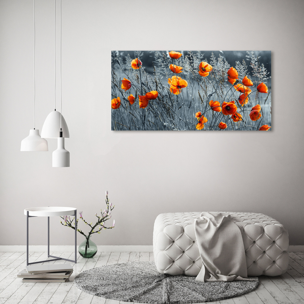 Tableau imprimé sur verre Coquelicot des champs