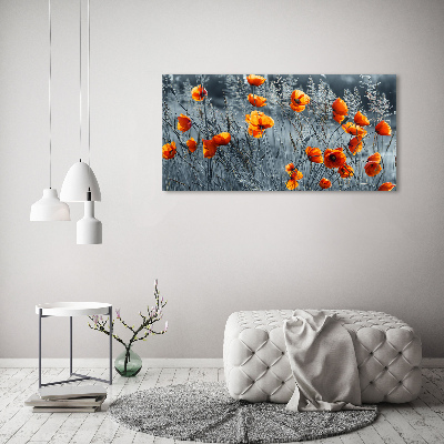 Tableau imprimé sur verre Coquelicot des champs