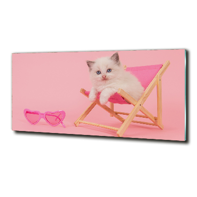 Tableau photo sur verre Chat sur une chaise longue