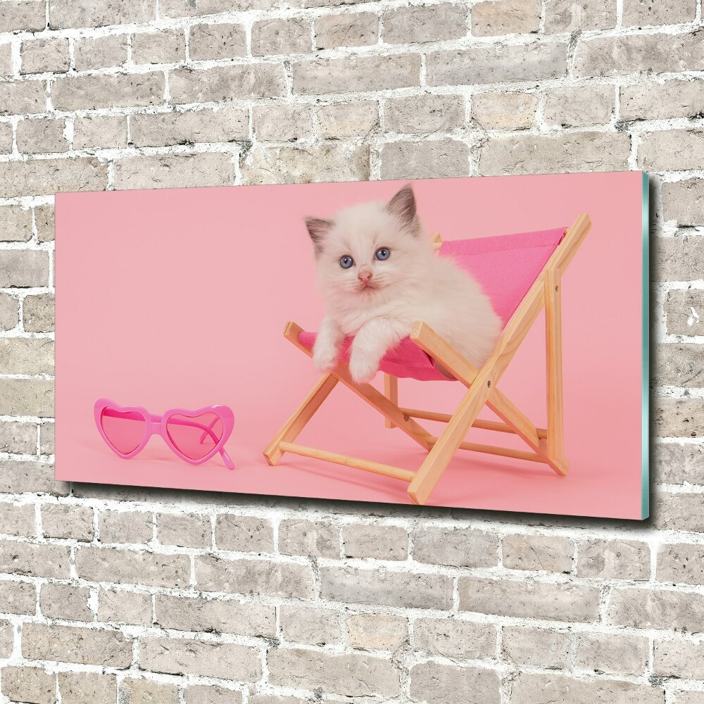 Tableau photo sur verre Chat sur une chaise longue