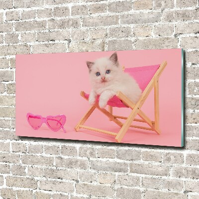 Tableau photo sur verre Chat sur une chaise longue