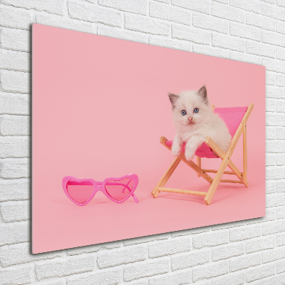 Tableau photo sur verre Chat sur une chaise longue